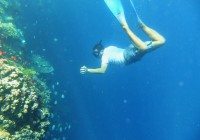 Snorkeling Around Menjangan Island, Bali