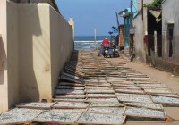 Fish Drying