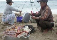 Video: Seafood on the beach in Nha Trang