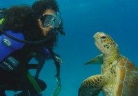 A Great Barrier Reef Tour to Remember