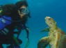 A Great Barrier Reef Tour to Remember