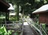 Boardwalk to the suites