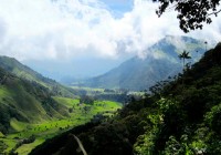 Coffee “Connoisseuring” in Salento, Columbia