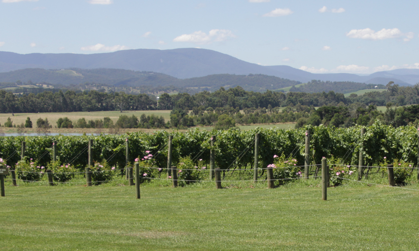 Yarra Valley