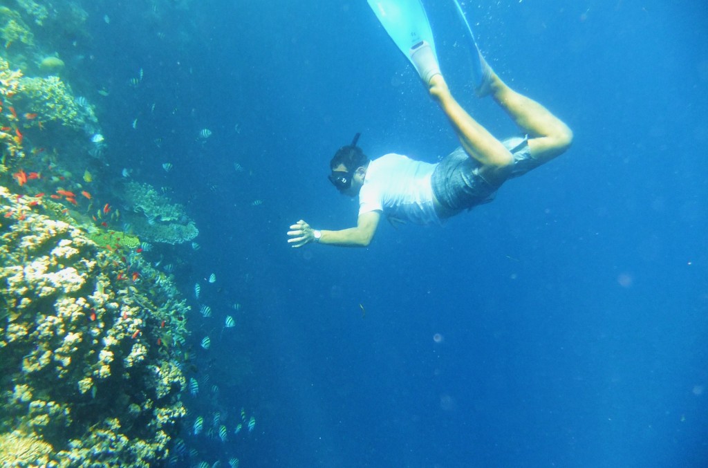 Snorkeling Menjangan Island Bali