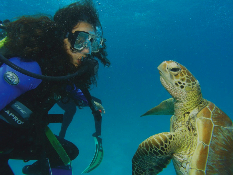 Passions of Paradise Review Great Barrier Reef Snorkeling with Turtle