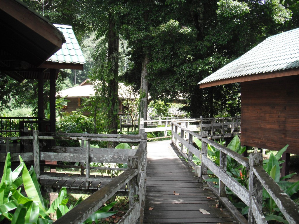 Borneo Rainforest Lodge Danum Vallely