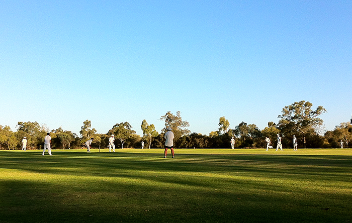 Cricket in Swan Valley by bicycle