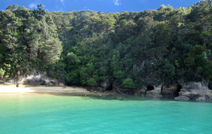 Abel Tasman National Park New Zealand Beach