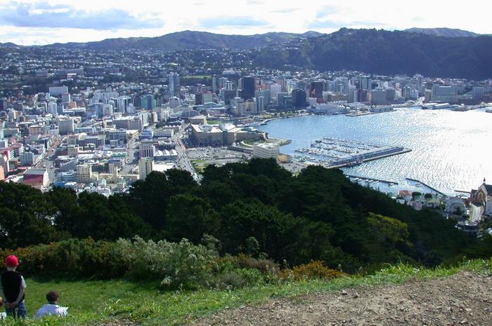 10 Must Do's in the Coolest Little Capital - Wellington, New Zealand