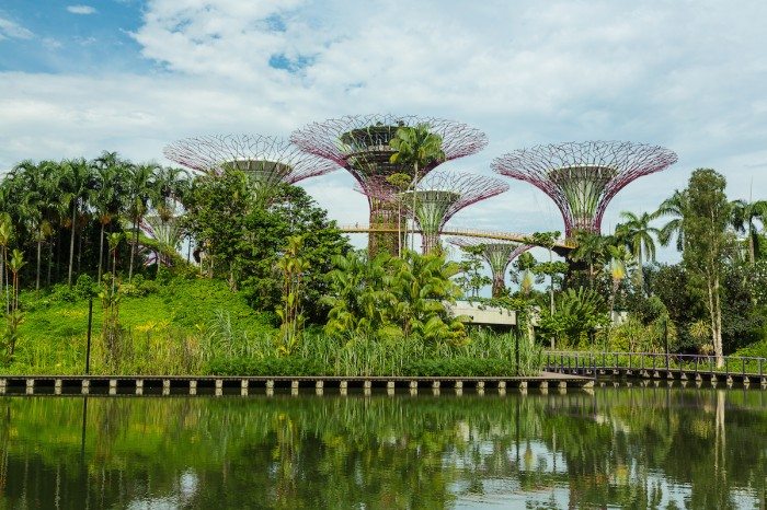 Singapore Stopover Holiday Gardens by the Bay