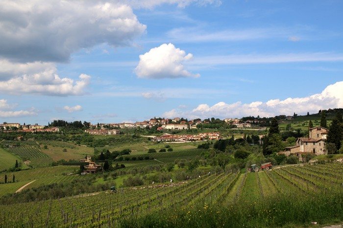 Tuscan hillside Chianti Wine Tasting