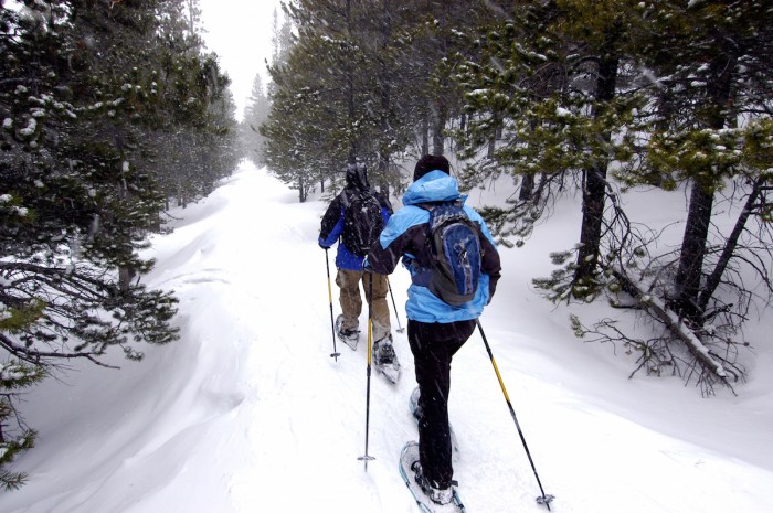 Best Winter Time Activities in Vancouver - Snow shoeing