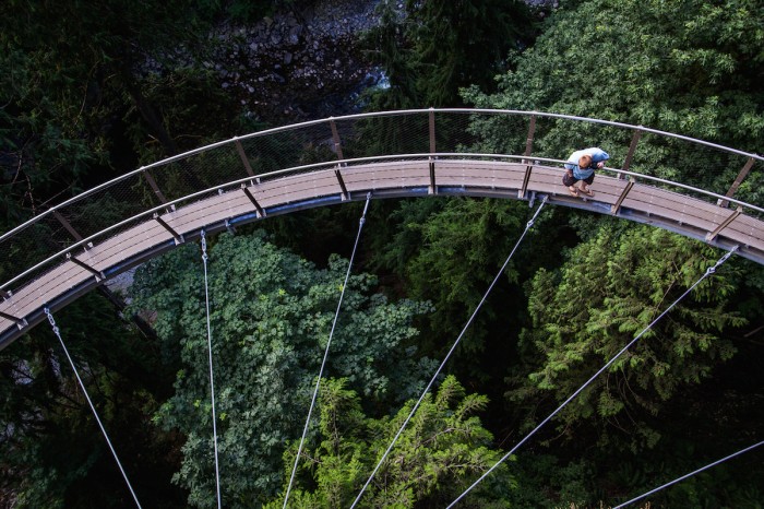 Best Vancouver Winter Activities - Capilano Suspension Bridge