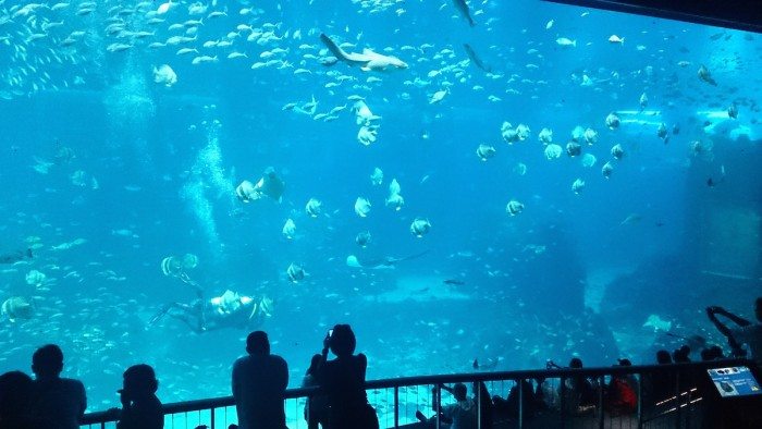 SEA_aquarium Singapore