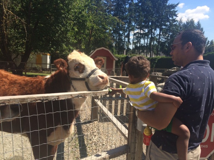 Maplewood Farm North Vancouver Kids Activities