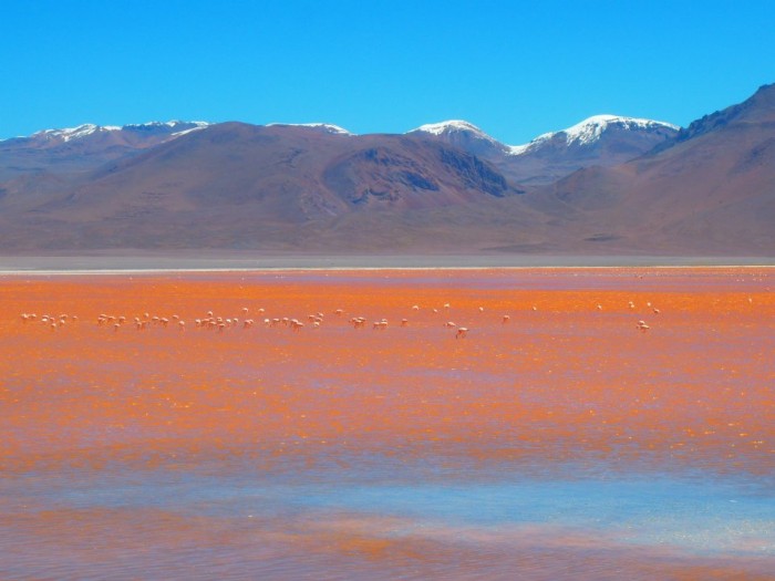 Best of South America-Solar De Uyuni, Salt Flats Bolivia