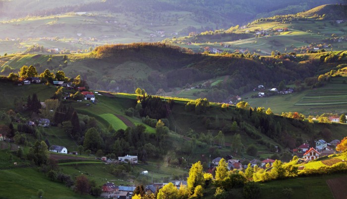 Rolling Hills English Country Side