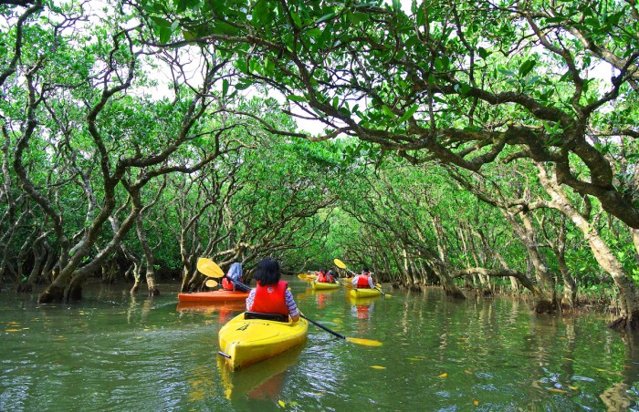 Fitness Holidays in Southeast Asia Kayaking