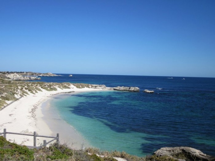 Rottnest Island-Short Day Trips from Perth