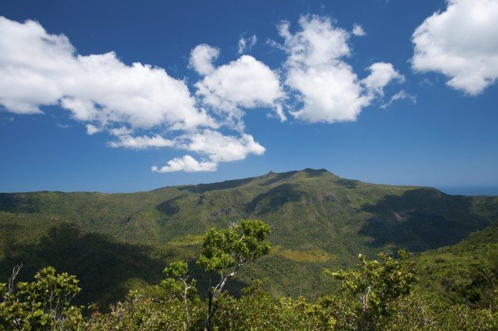 Black River Gorges National Park Mauritius