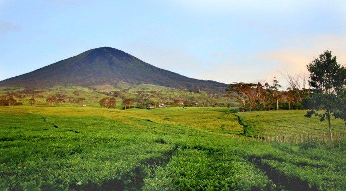 Mount Dempo Pagar Alam South Sumatra