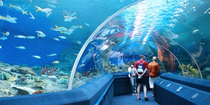 Pattaya's Top Activities - Underwater World Pattaya