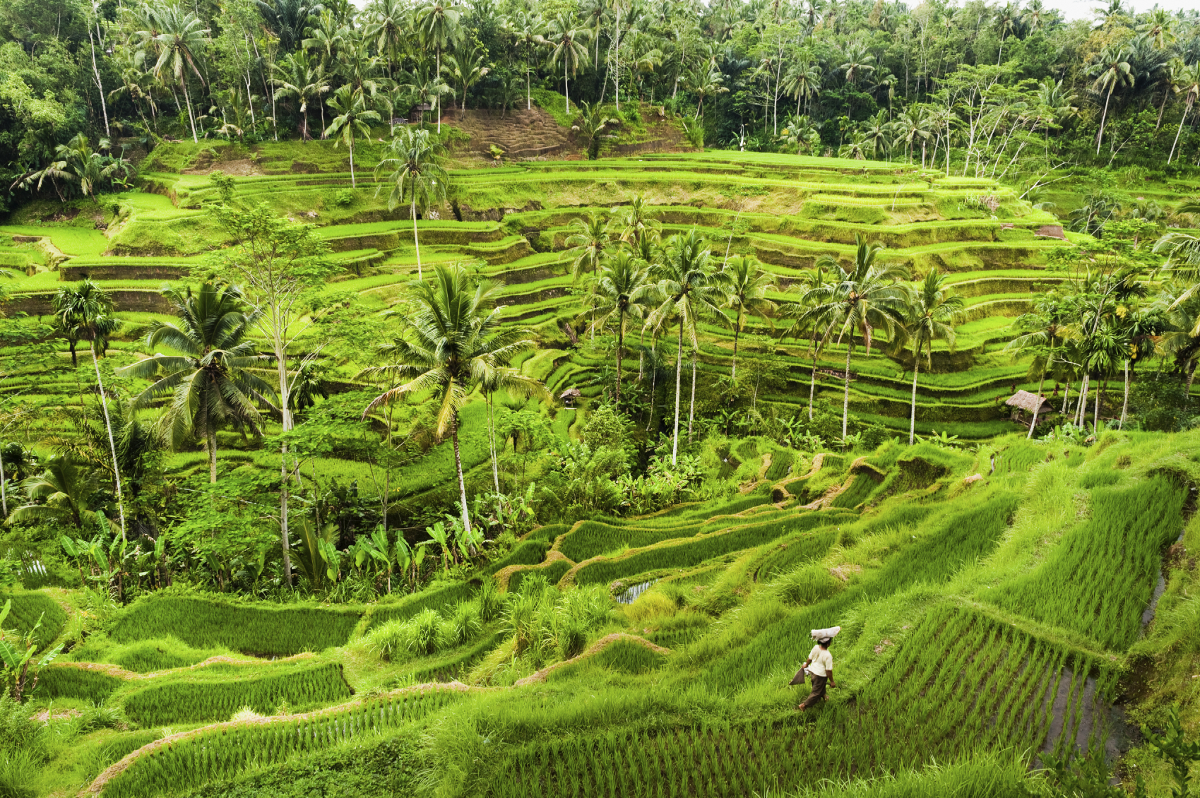 14 Spectacular Places to Visit in Indonesia