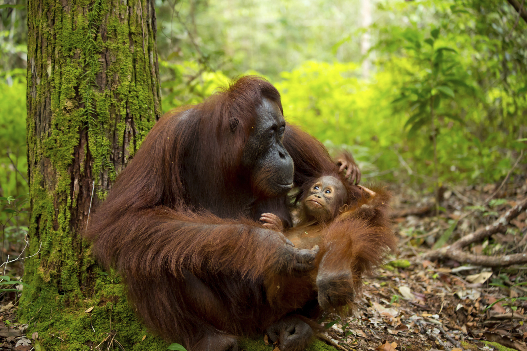 14 Spectacular Places to Visit in Indonesia