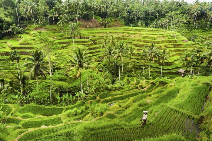 ubud