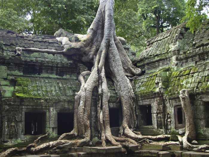 Angkor wat Cambodia