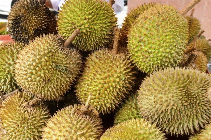 What to Eat in South Sumatra, Indonesia