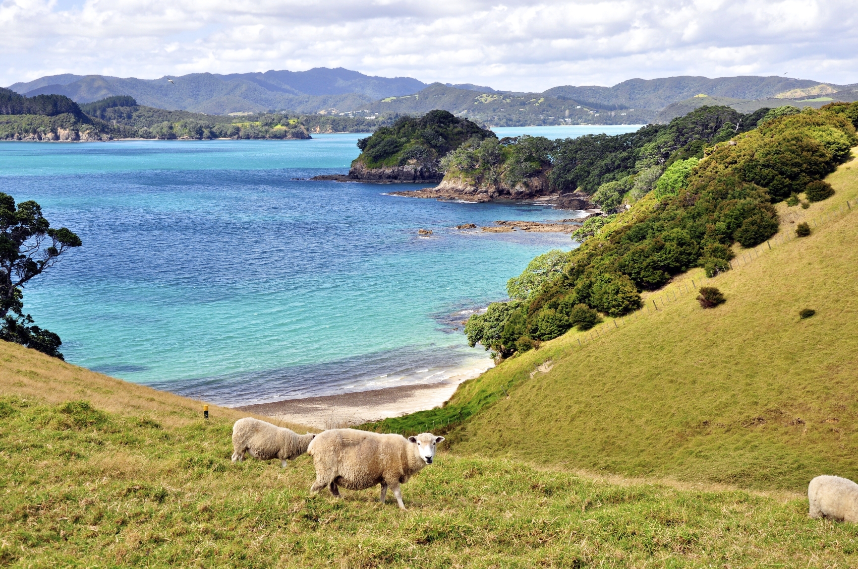 New Zealand Tourists spot