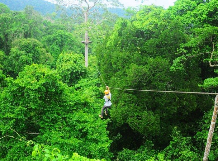 Chonburi Zipline Flight of the Gibbon