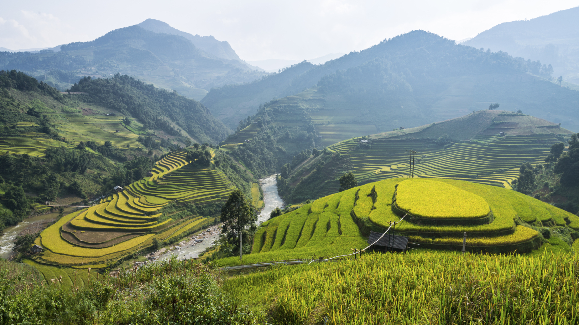 Rice Fields in Sapa Vietnam
