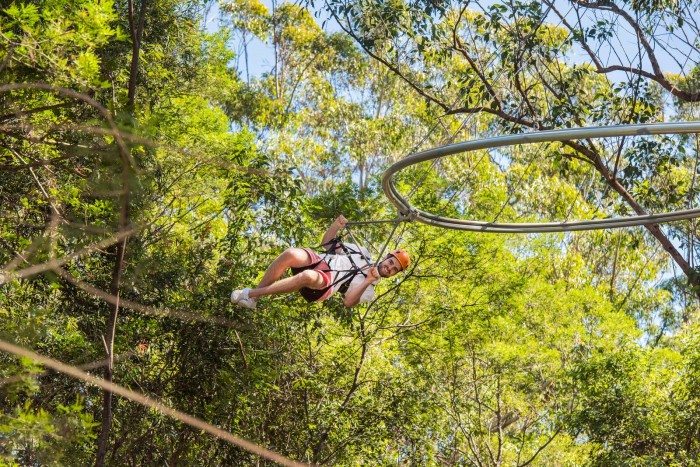 TreeTop Crazy Rider - Top Places to Ziptrek in Asia and Beyond