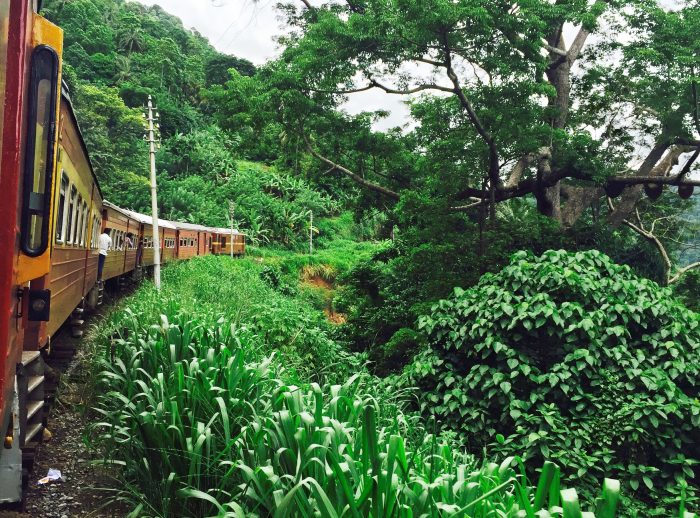 Colombo to Kandy by Train in Sri Lanka