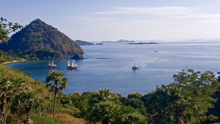 Guide to Visiting Komodo National Park