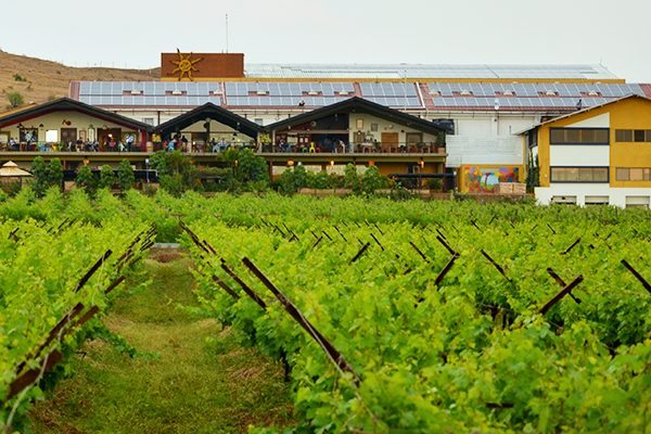 Top wineries in Asia - Sula Vineyards in Nashik India