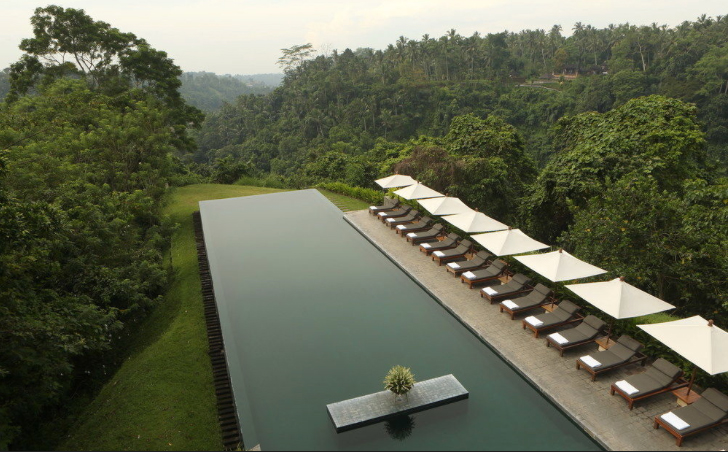 Alila Ubud Infinity Pool