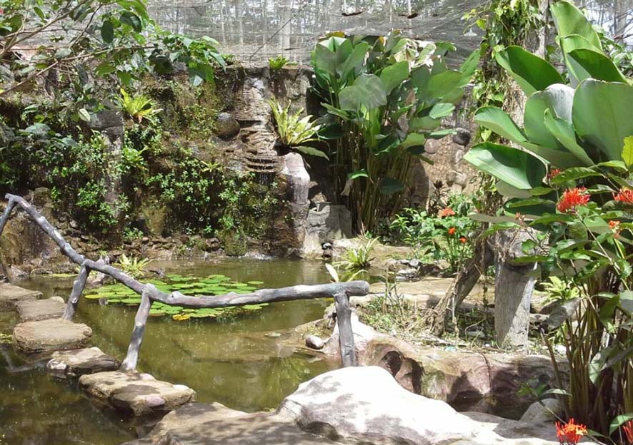 Bali Butterfly Park