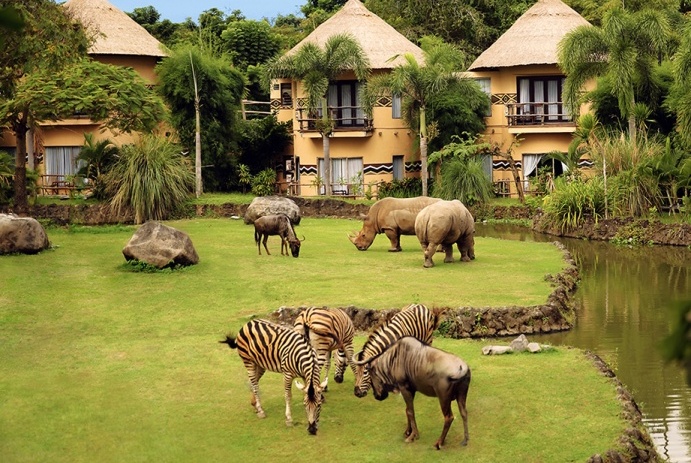 Bali Safari and Marine Park