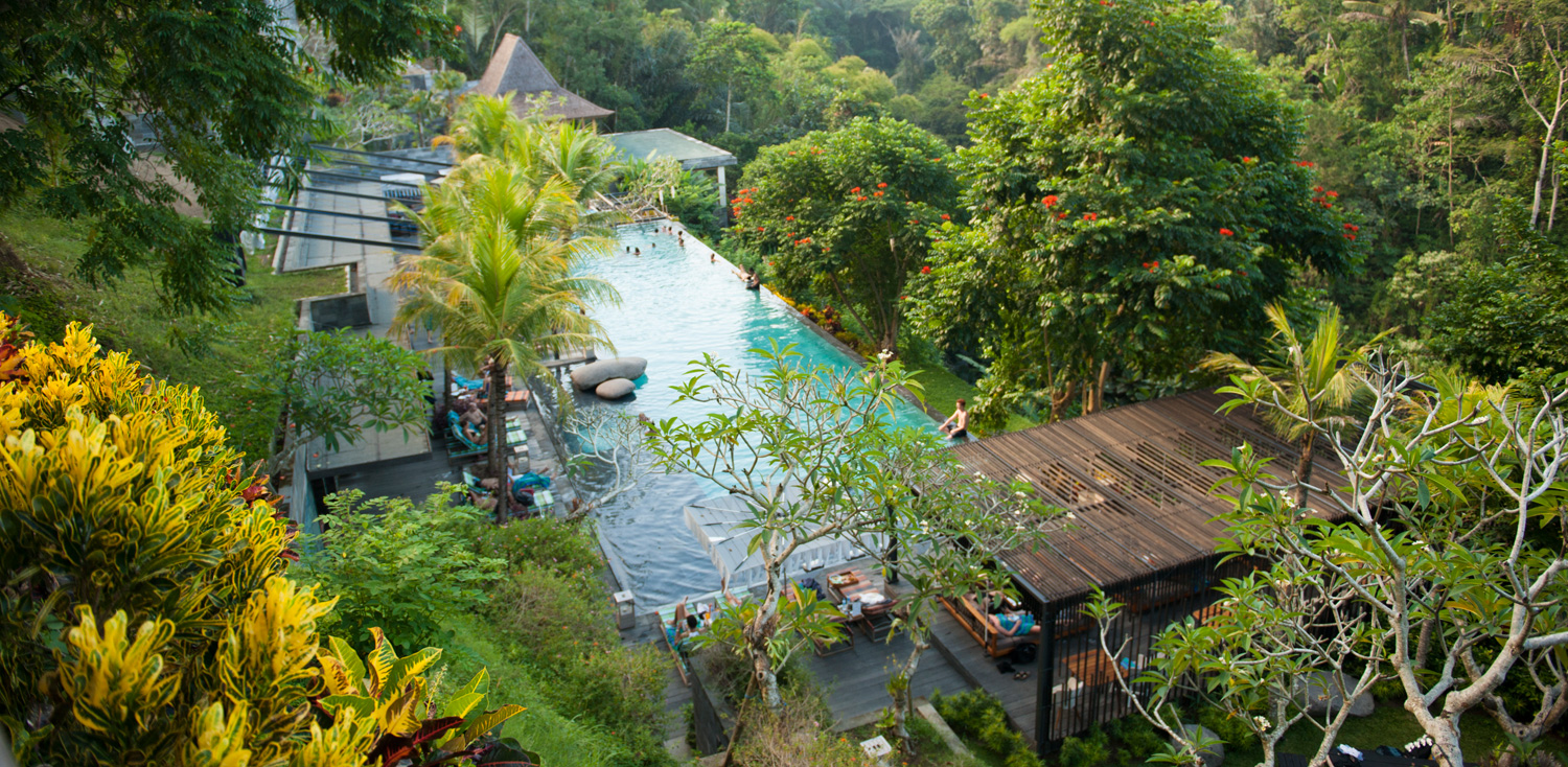 jungle fish bali ubud infinity pool