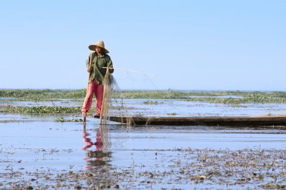 Inle Lake Myanmar Fisherman