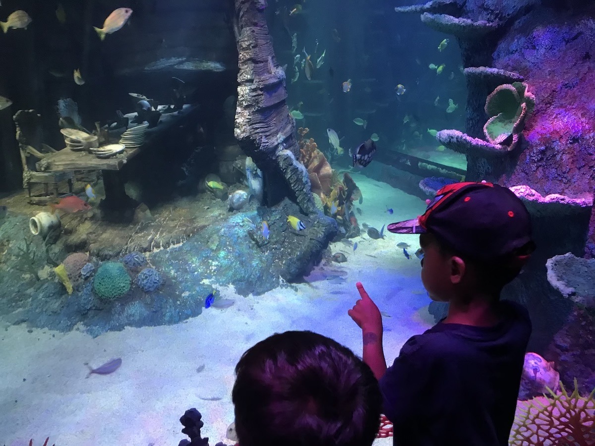 Sea Life Malaysia review - Aquarium by Legoland