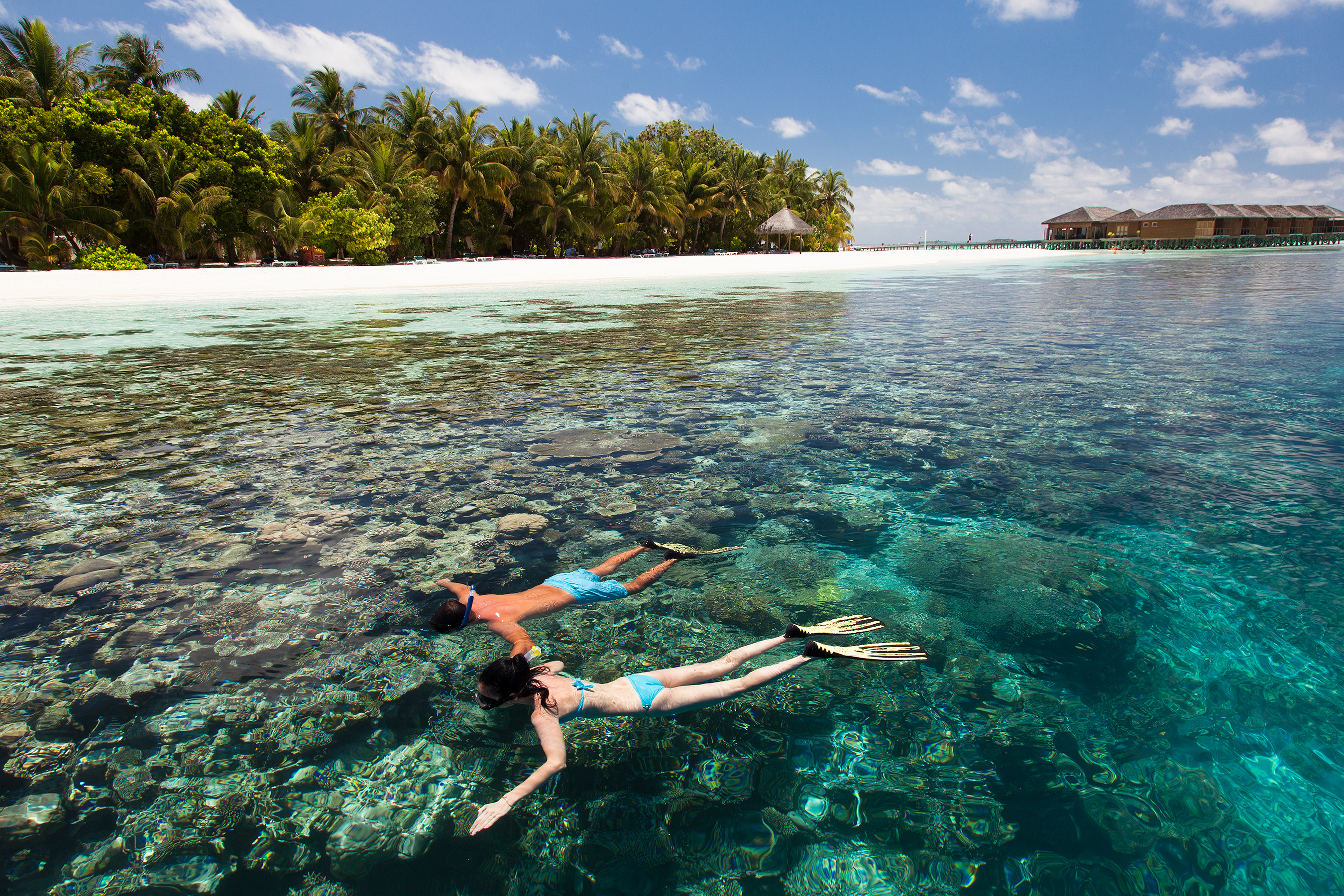 Vilamendhoo maldives resorts best house reefs